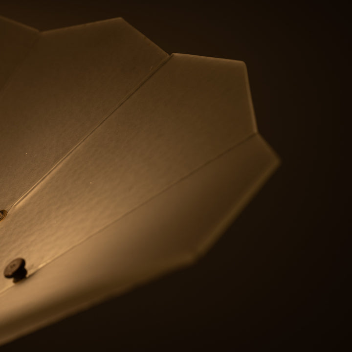 Exceptional Pair of Art Deco Best & Lloyd Pendant Lights with Textured Satin Glass Panels