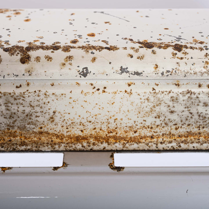 Reclaimed Industrial Linear Strip Lights "TASKMASTER FLUROLIER" by Benjamin Electric